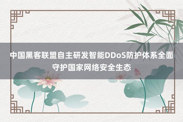 中国黑客联盟自主研发智能DDoS防护体系全面守护国家网络安全生态