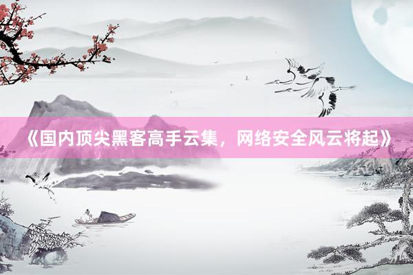 《国内顶尖黑客高手云集，网络安全风云将起》
